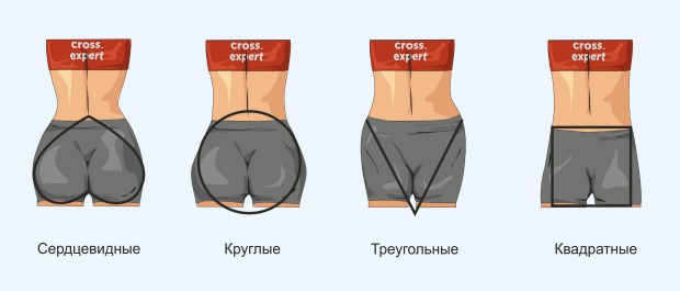 Типы ягодичных мышц