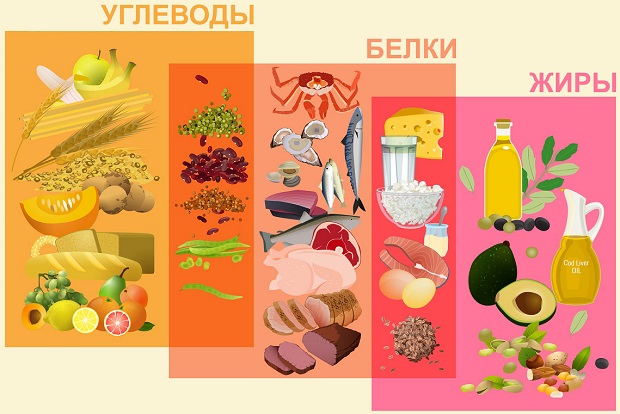 белки, жиры и углеводы