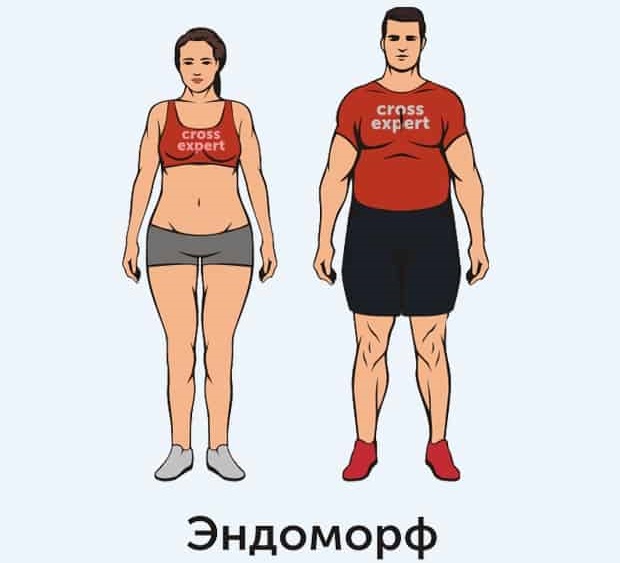 внешний вид эндоморфа