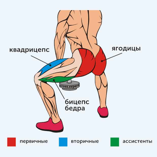 плие с гантелей - какие мышцы работают