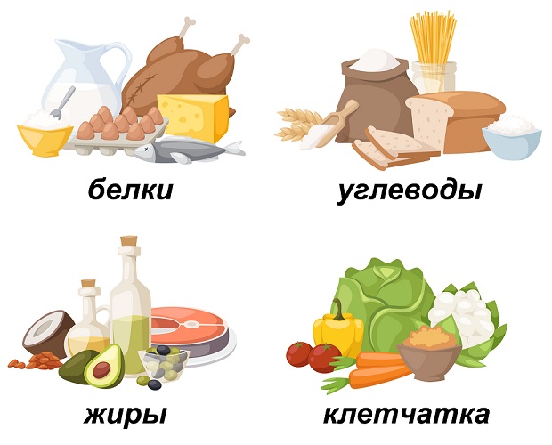 основные нутриенты