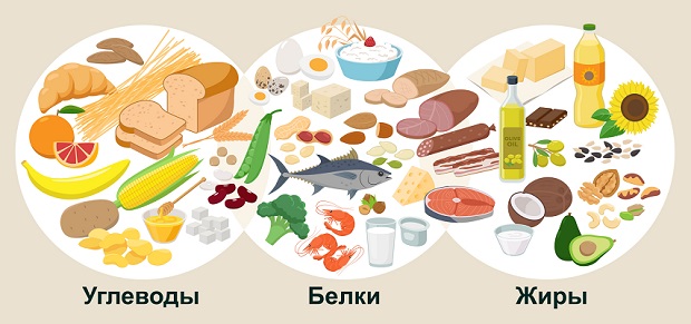 макронутриенты - белки, жиры, углеводы