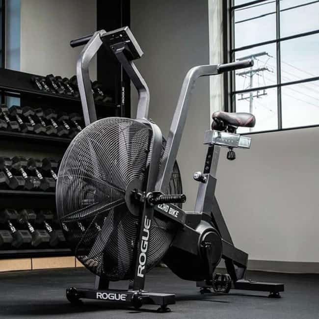 Echo Bike