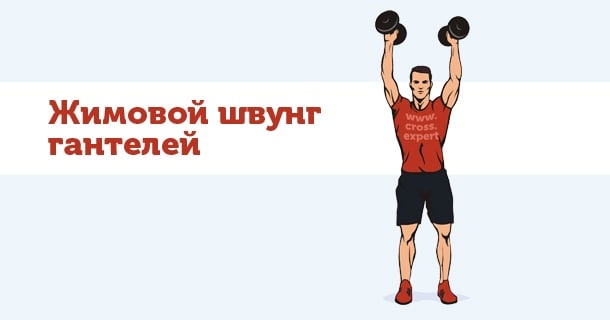 жимовой швунг гантелей