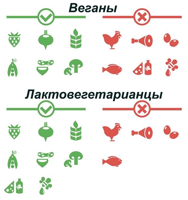 веганы и лактовегетарианцы