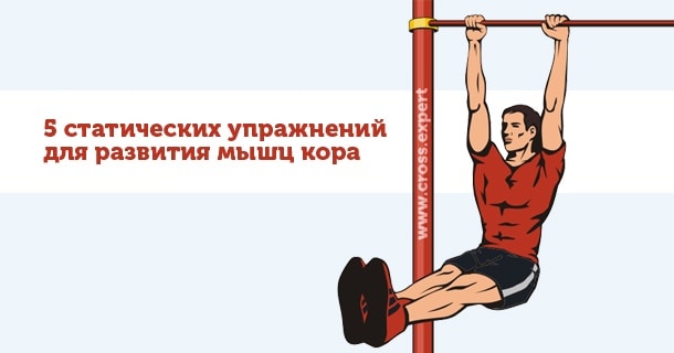 упражнения для развития мышц кора