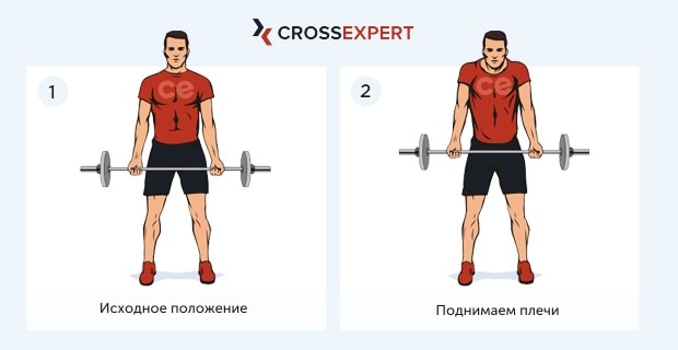 Шраги со штангой перед собой