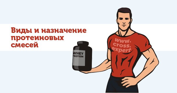 протеины