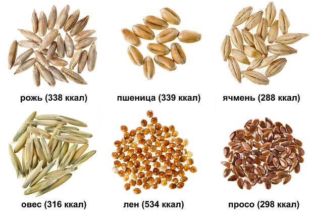 калорийность злаков