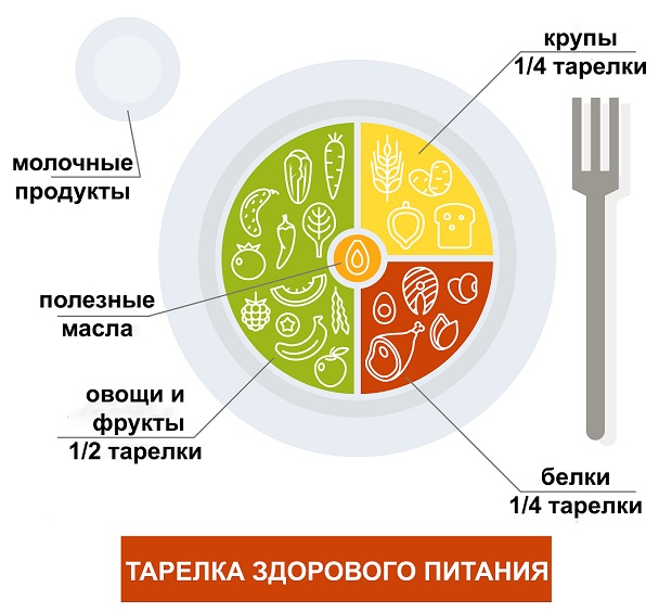 тарелка здорового питания
