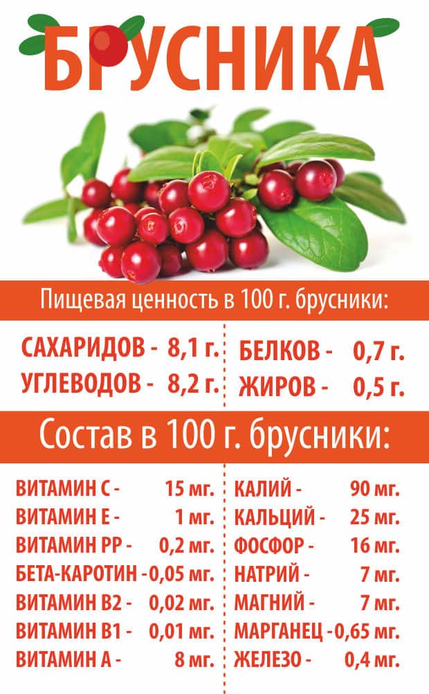 пищевая ценность брусники
