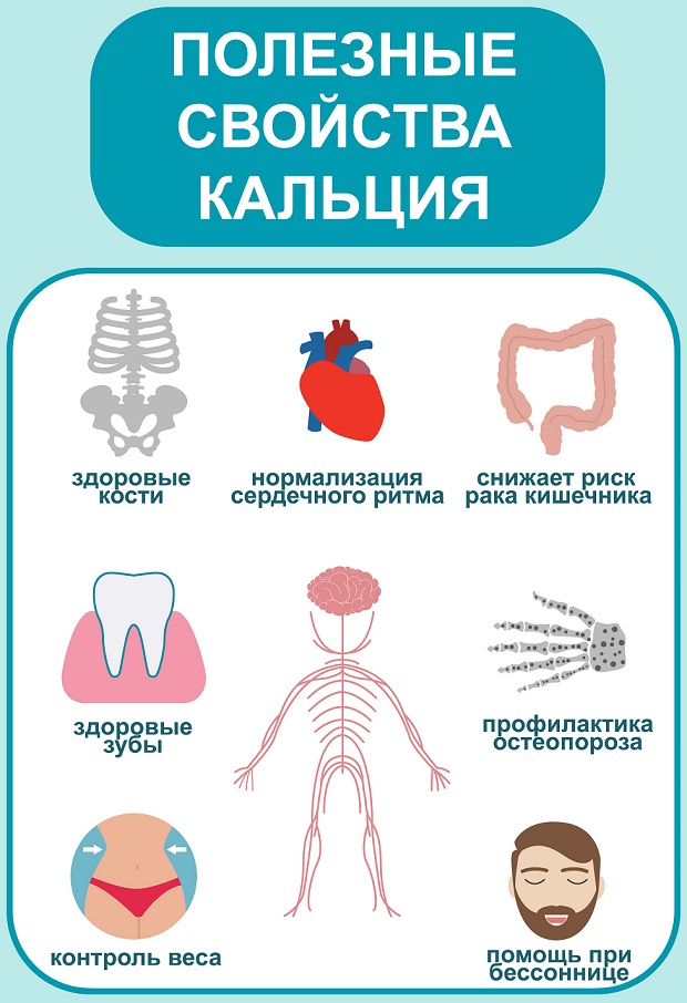 польза кальция