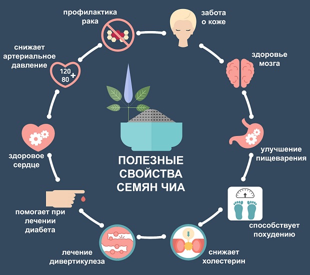 польза семян чиа