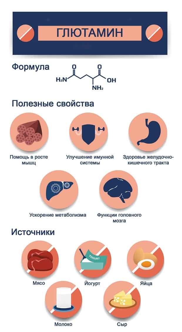 свойства и источники глютамина