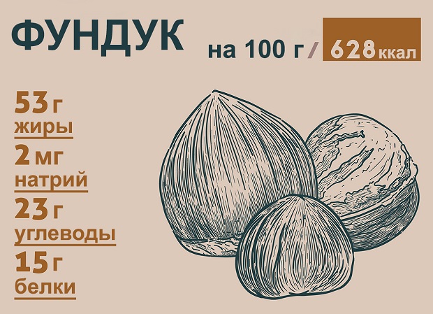 состав фундука
