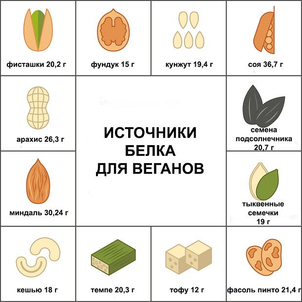 белковые продукты для веганов
