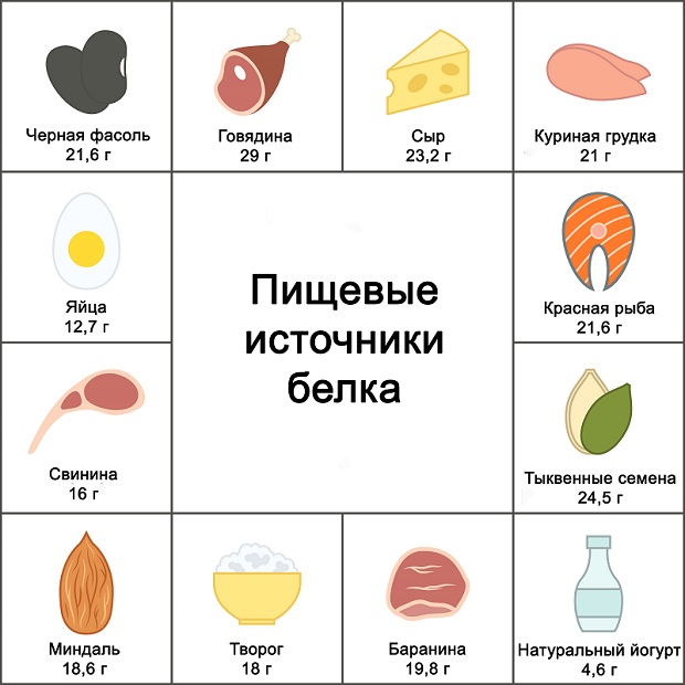 продукты, богатые белком