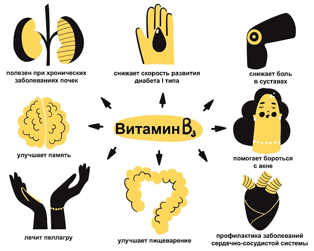 полезные свойства витамина b3