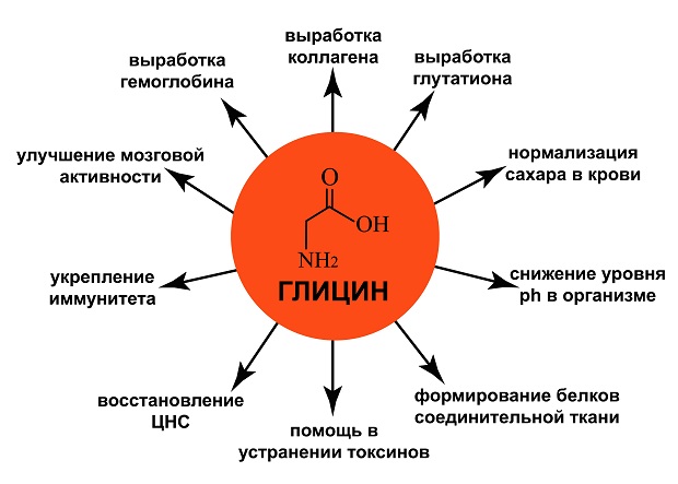 функции глицина