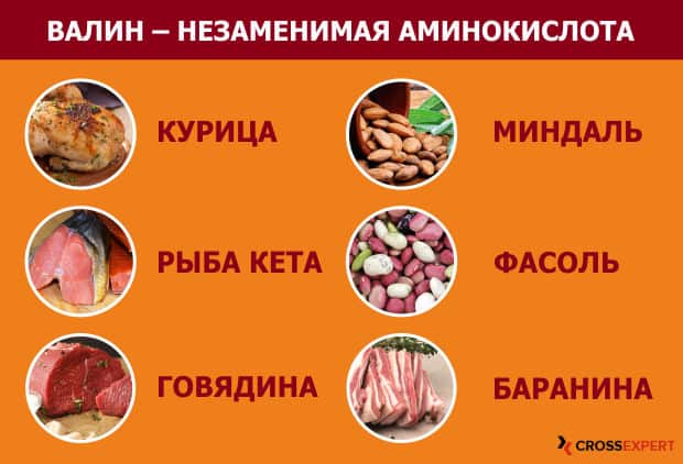 Валин - источники