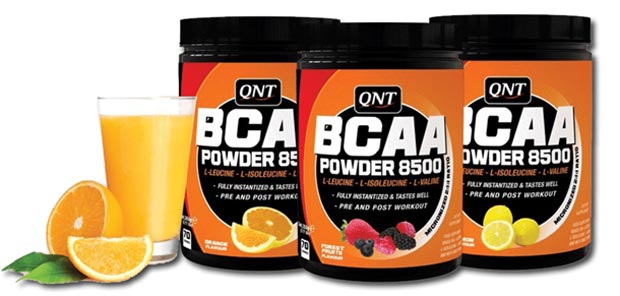 BCAA QNT 8500