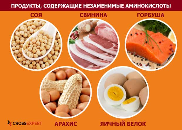 источники незаменимых кислот
