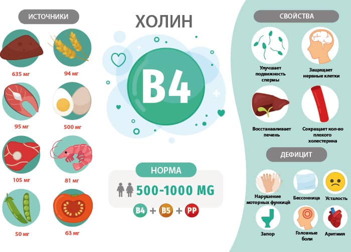 Полное описание холина