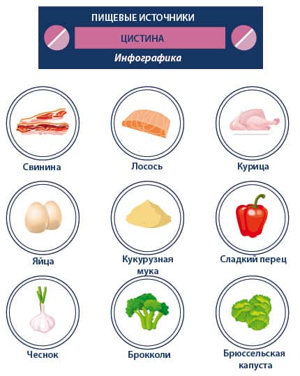 Где содержится цистин