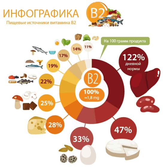 Продукты с рибофлавином на инфографике