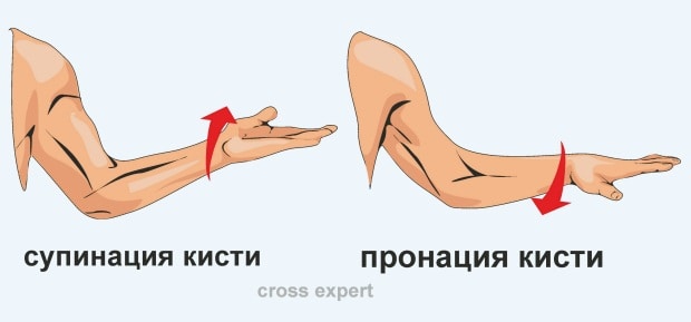 Упражнение супинация-пронация