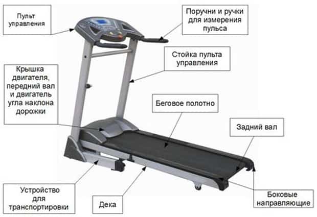 устройство дорожки