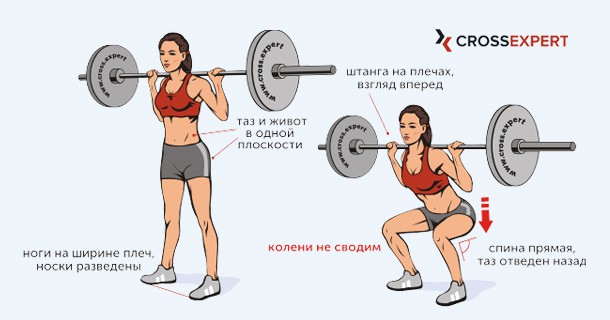 присед со штангой