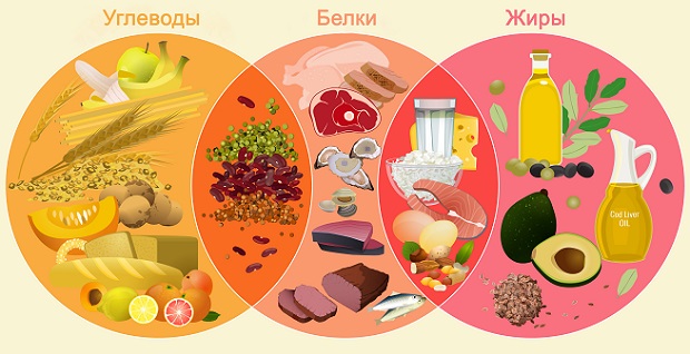 белки, жиры и углеводы в продуктах